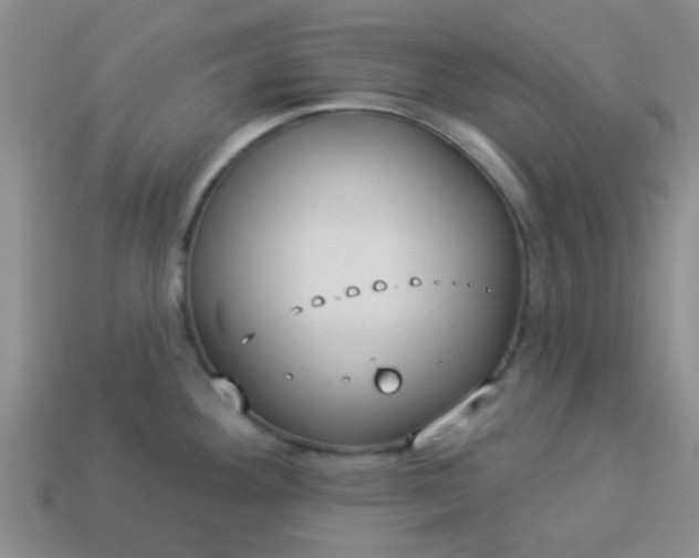 X0000114131292200910221456