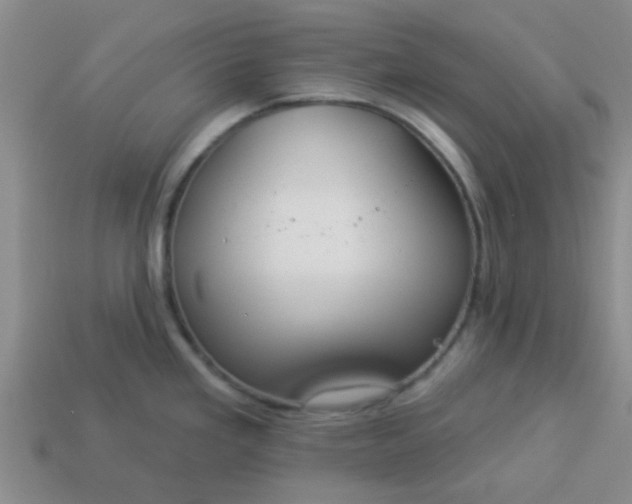 X0000114131293200910221456