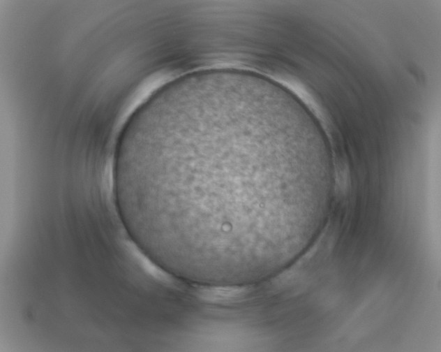 X0000114131294200910221456