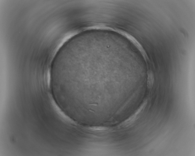 X0000114131295200910221456