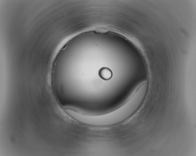 X0000114131296200910221456