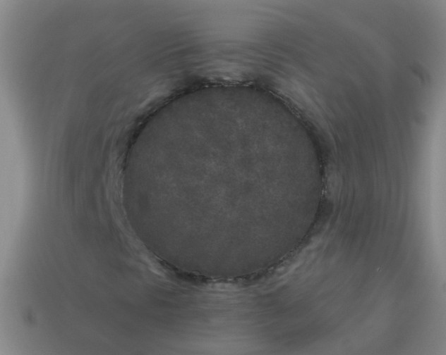 X0000114131297200910221456