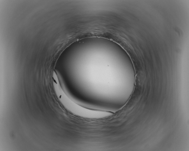 X0000114131298200910221456