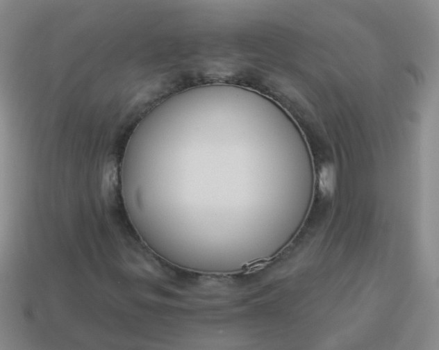 X0000114131299200910221456