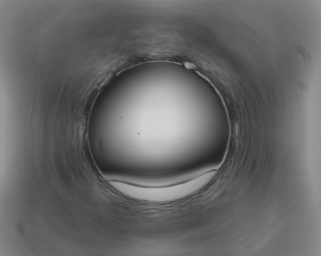 X0000114131300200910221456