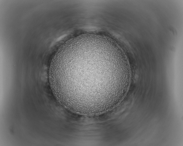 X0000114131301200910221456