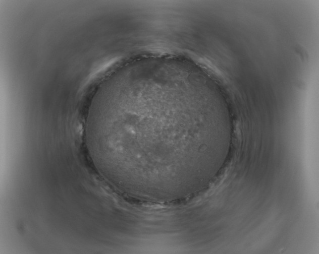 X0000114131302200910221456