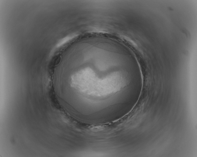 X0000114131303200910221456