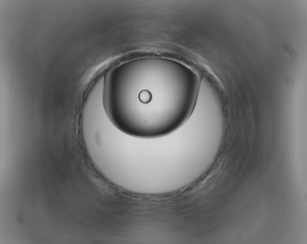 X0000114131304200910221456