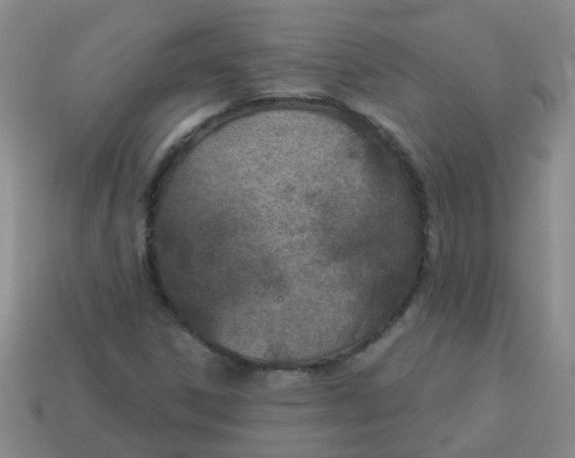 X0000114131306200910221456