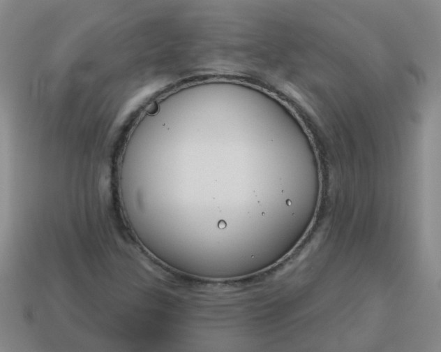 X0000114131307200910221456