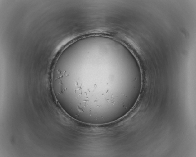 X0000114131308200910221456