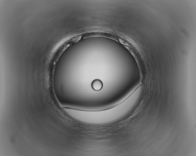 X0000114131310200910221456