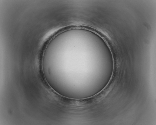 X0000114131311200910221456