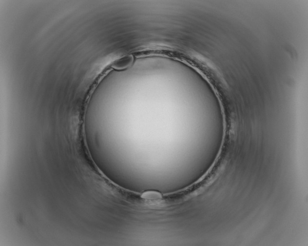 X0000114131313200910221456