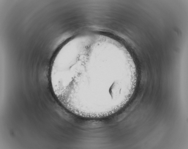 X0000114131314200910221456