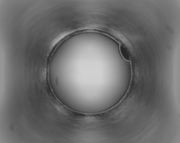 X0000114131316200910221456