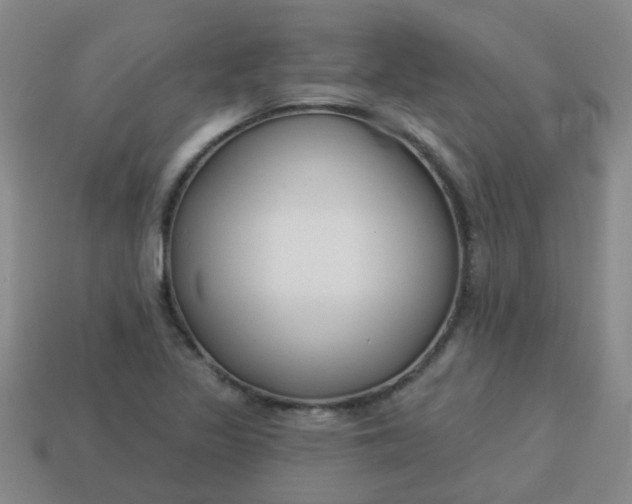 X0000114131317200910221456