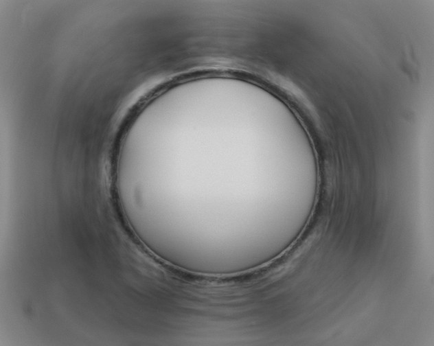 X0000114131318200910221456