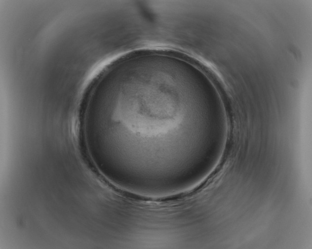 X0000114131319200910221456