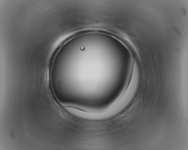 X0000114131320200910221456