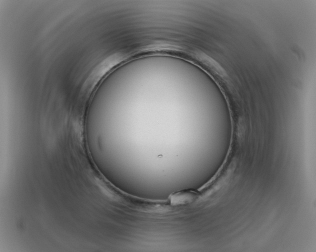 X0000114131321200910221456