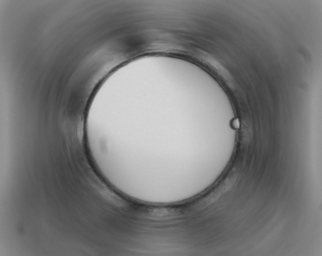 X0000114131322200910221456