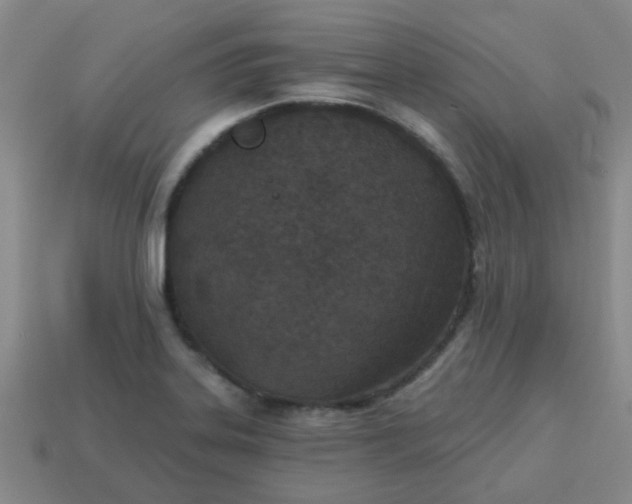 X0000114131323200910221456