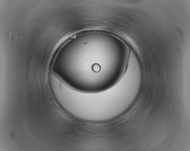 X0000114131324200910221456