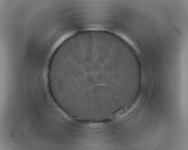 X0000114131325200910221456