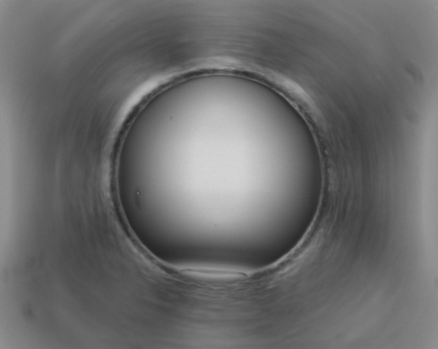 X0000114131326200910221456