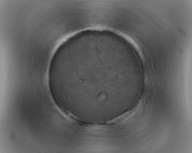 X0000114131327200910221456