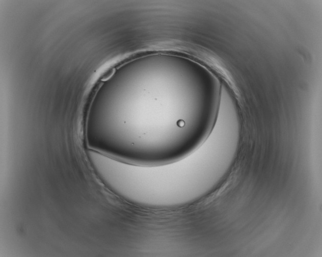 X0000114131328200910221456