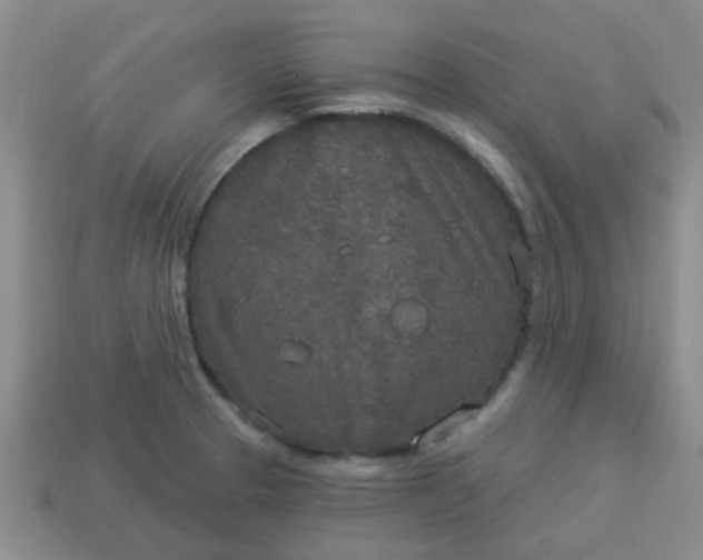 X0000114131329200910221456