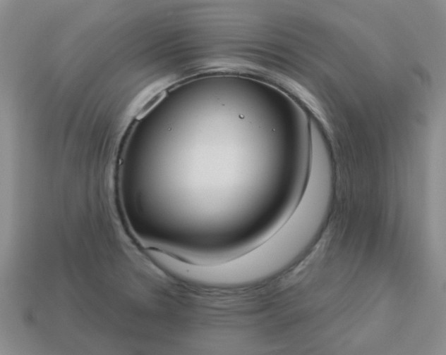 X0000114131330200910221456