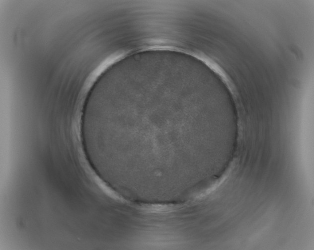 X0000114131333200910221456