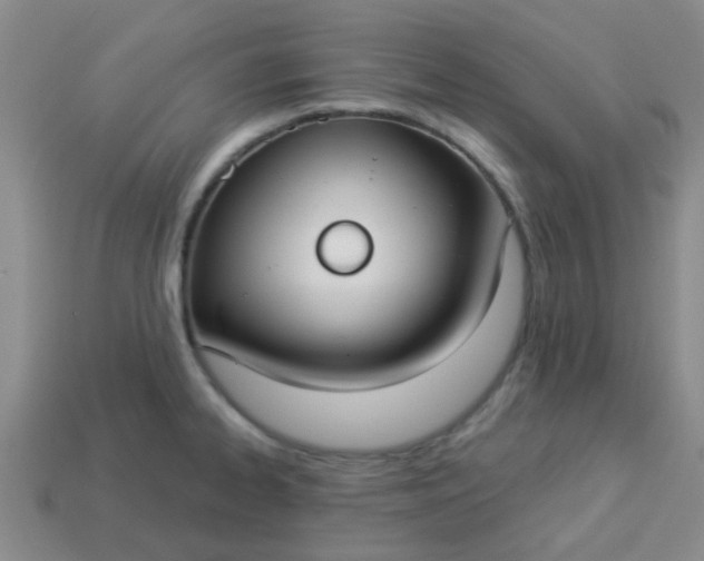 X0000114131334200910221456