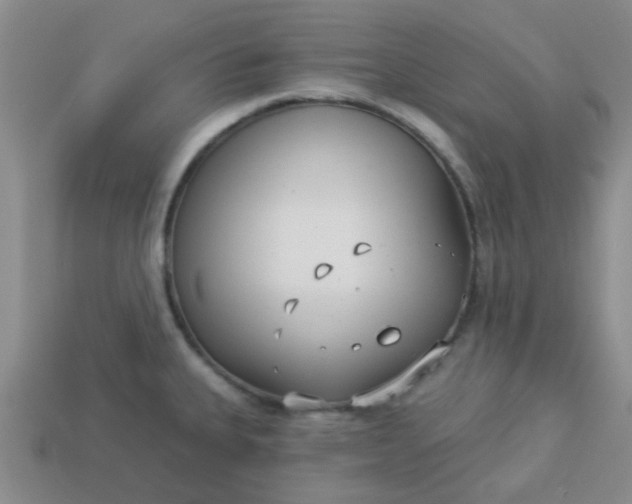 X0000114131335200910221456