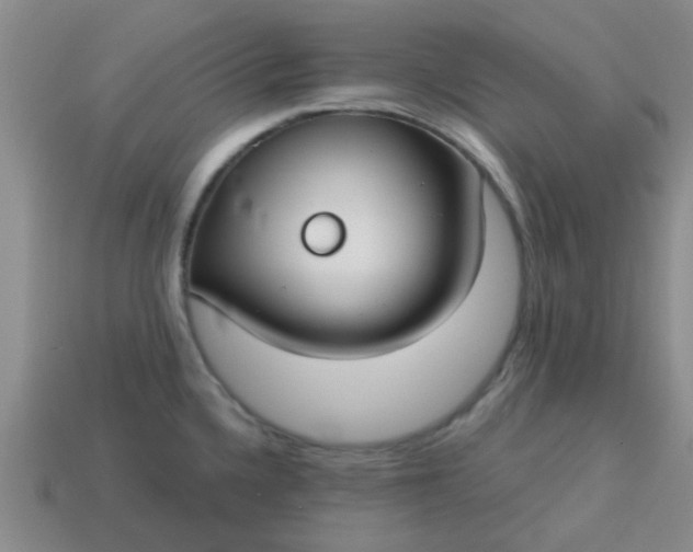 X0000114131336200910221456