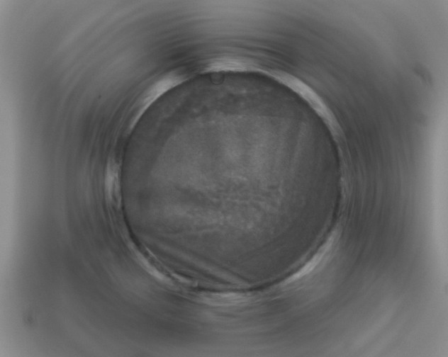 X0000114131337200910221456