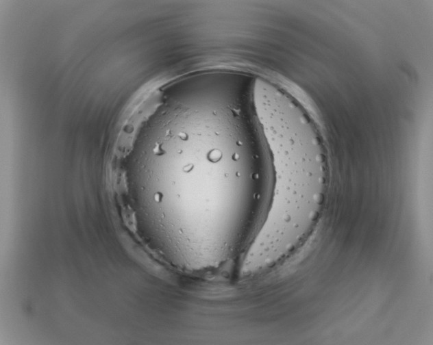 X0000114131338200910221456