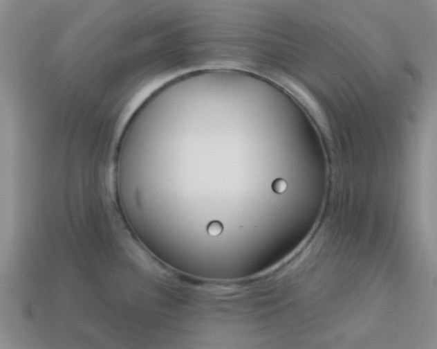 X0000114131340200910221456