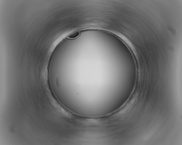 X0000114131341200910221456