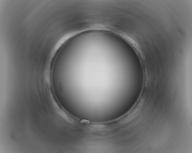 X0000114131342200910221456