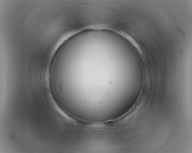 X0000114131343200910221456