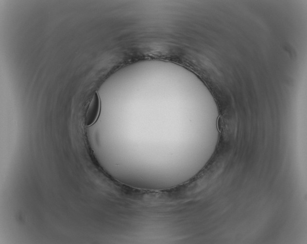 X0000114131345200910221456