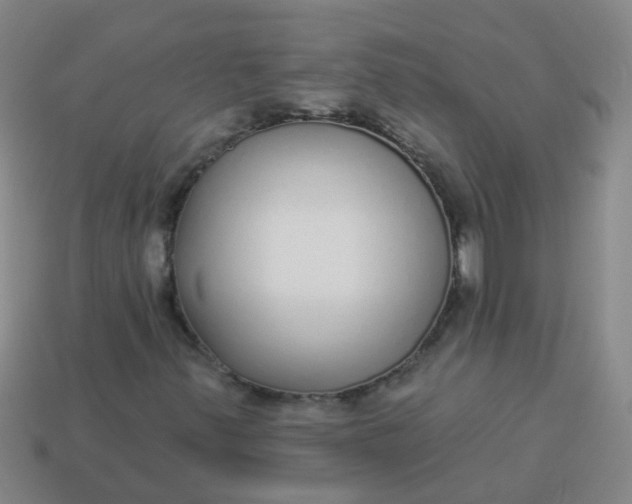 X0000114131347200910221456