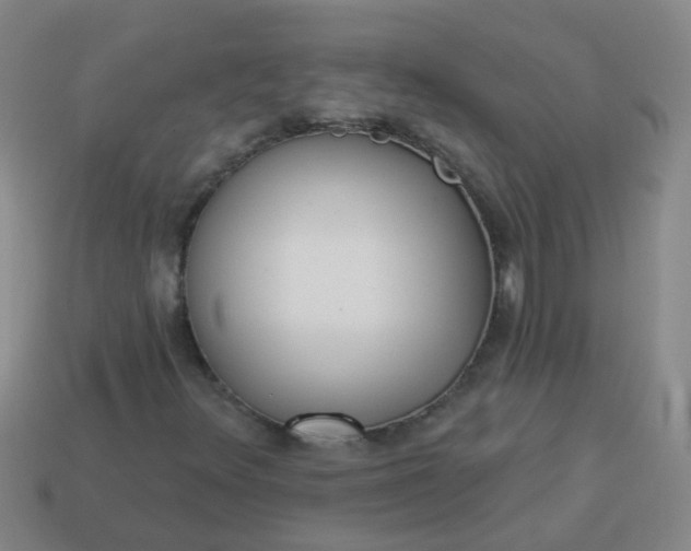 X0000114131348200910221456