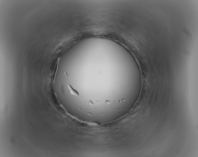 X0000114131349200910221456