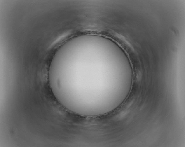 X0000114131350200910221456